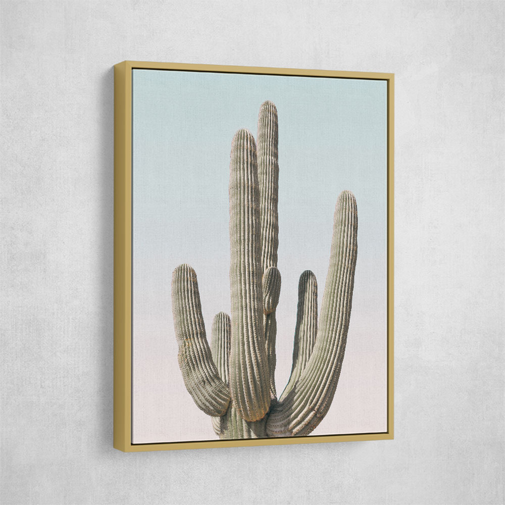 Saguaro