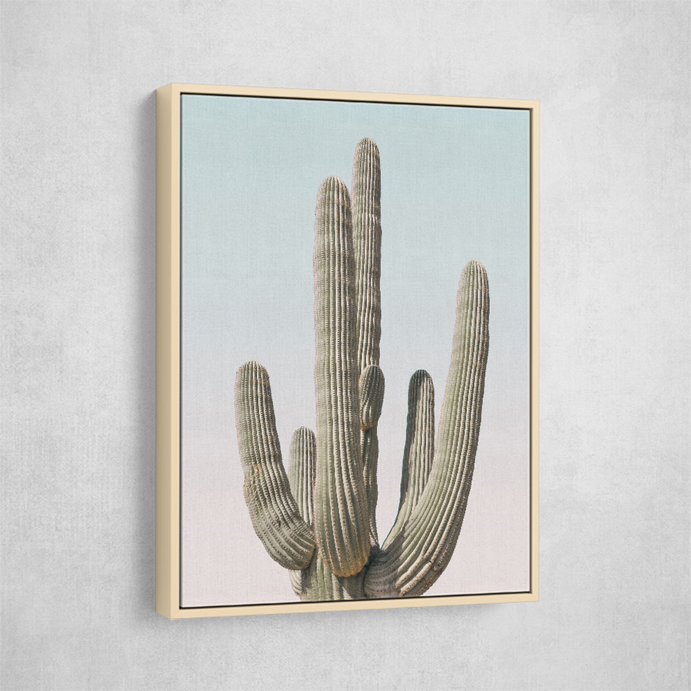 Saguaro