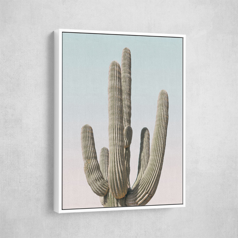 Saguaro