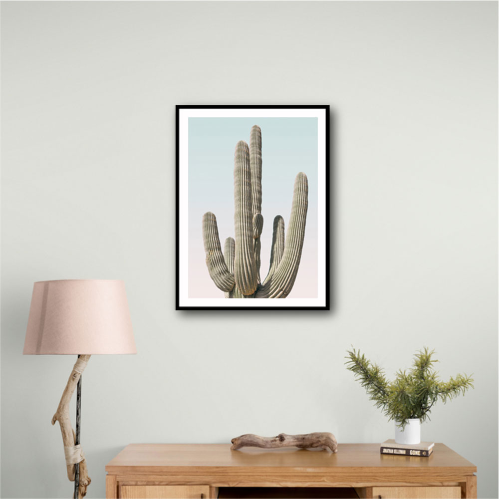 Saguaro