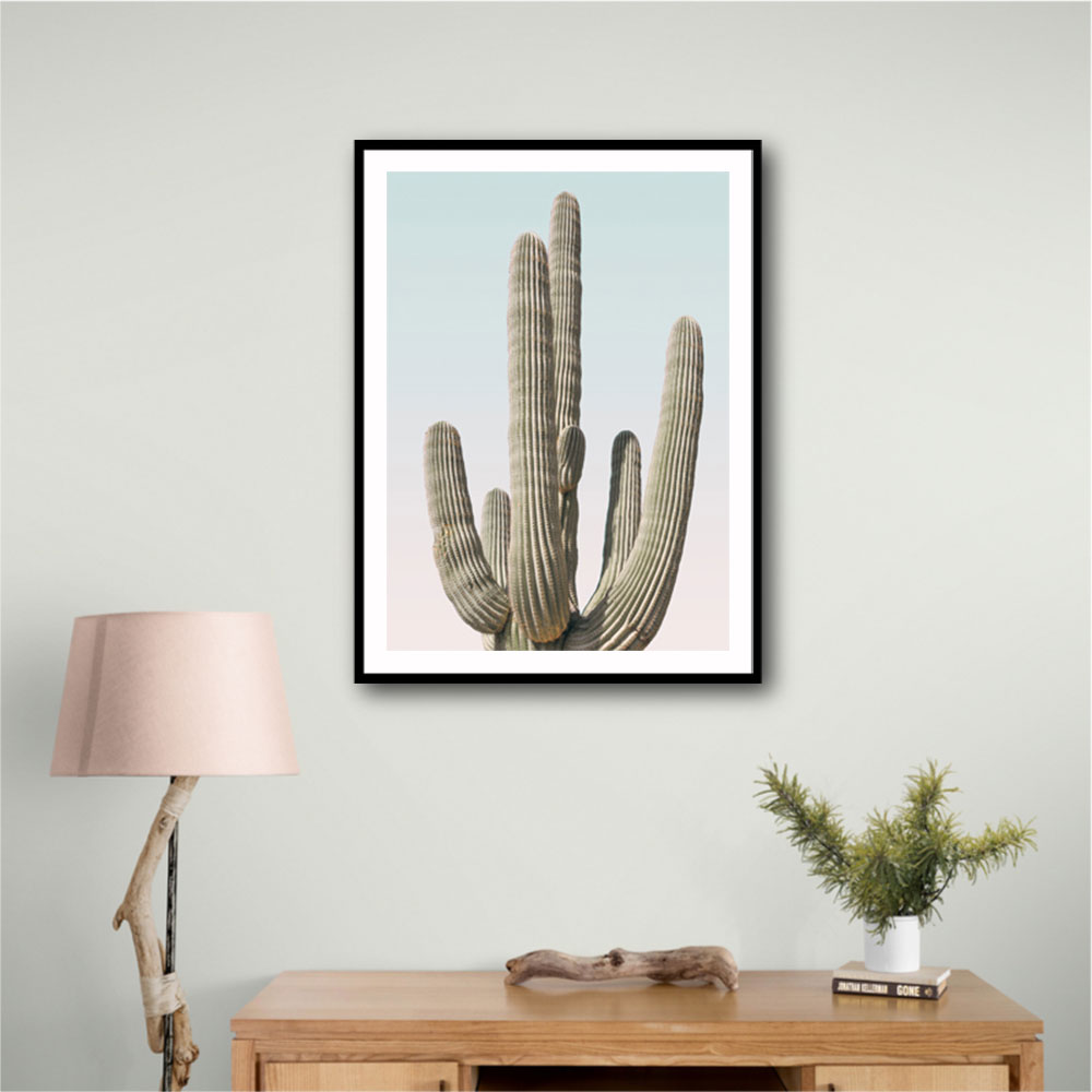 Saguaro