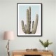 Saguaro