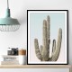 Saguaro