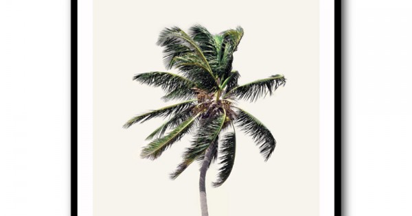 Windy Palm Tree Wall Art