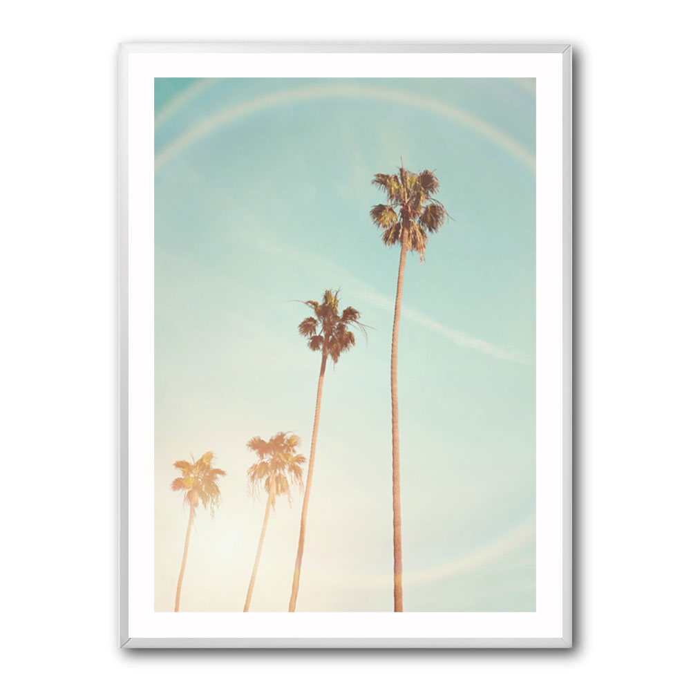 Sunny Cali Palm Tree