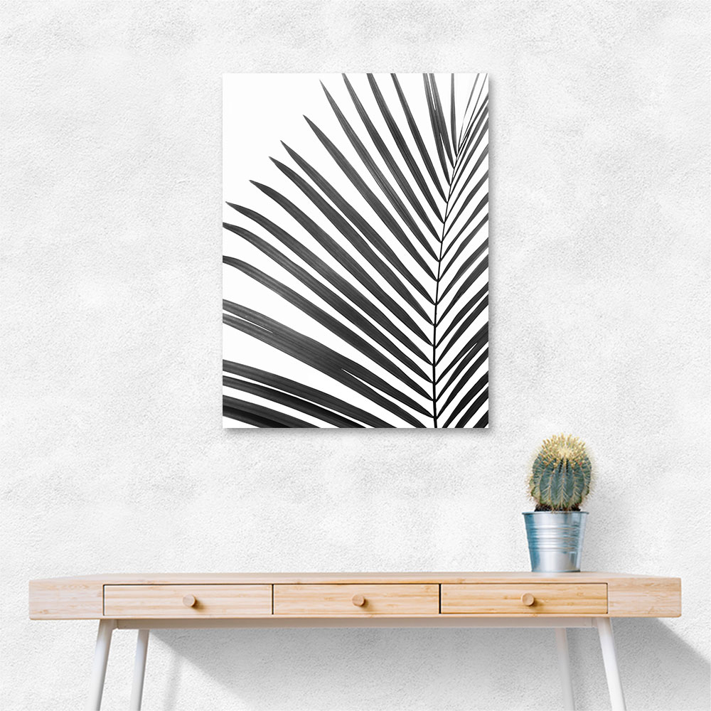 BW Palm Leaf