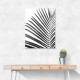 BW Palm Leaf