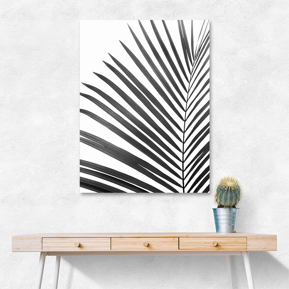 BW Palm Leaf