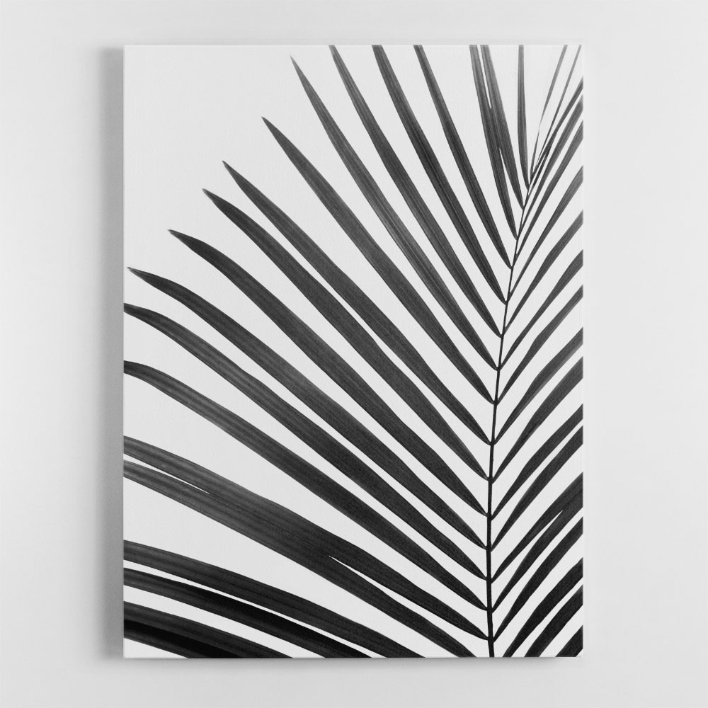 BW Palm Leaf