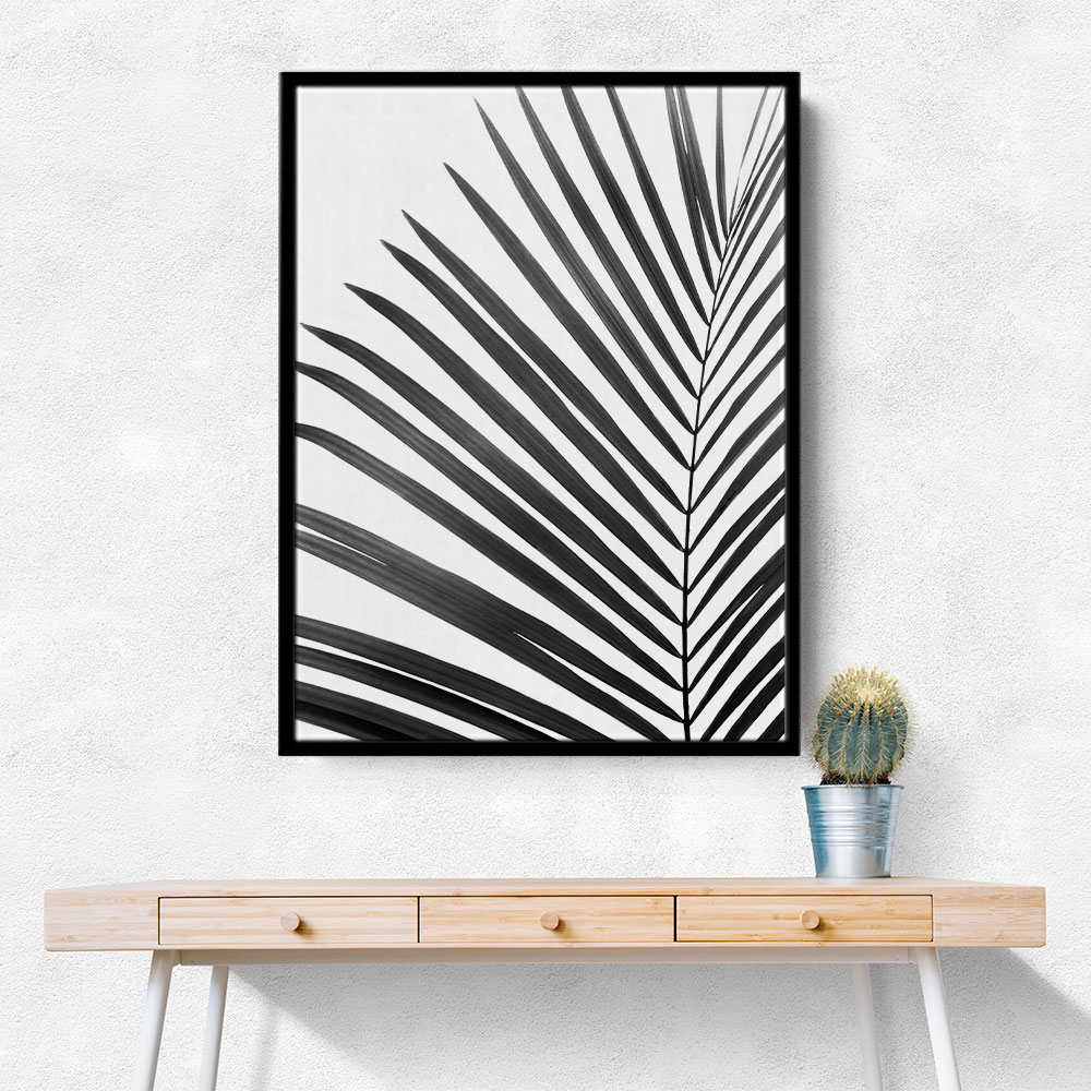 BW Palm Leaf