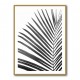 BW Palm Leaf