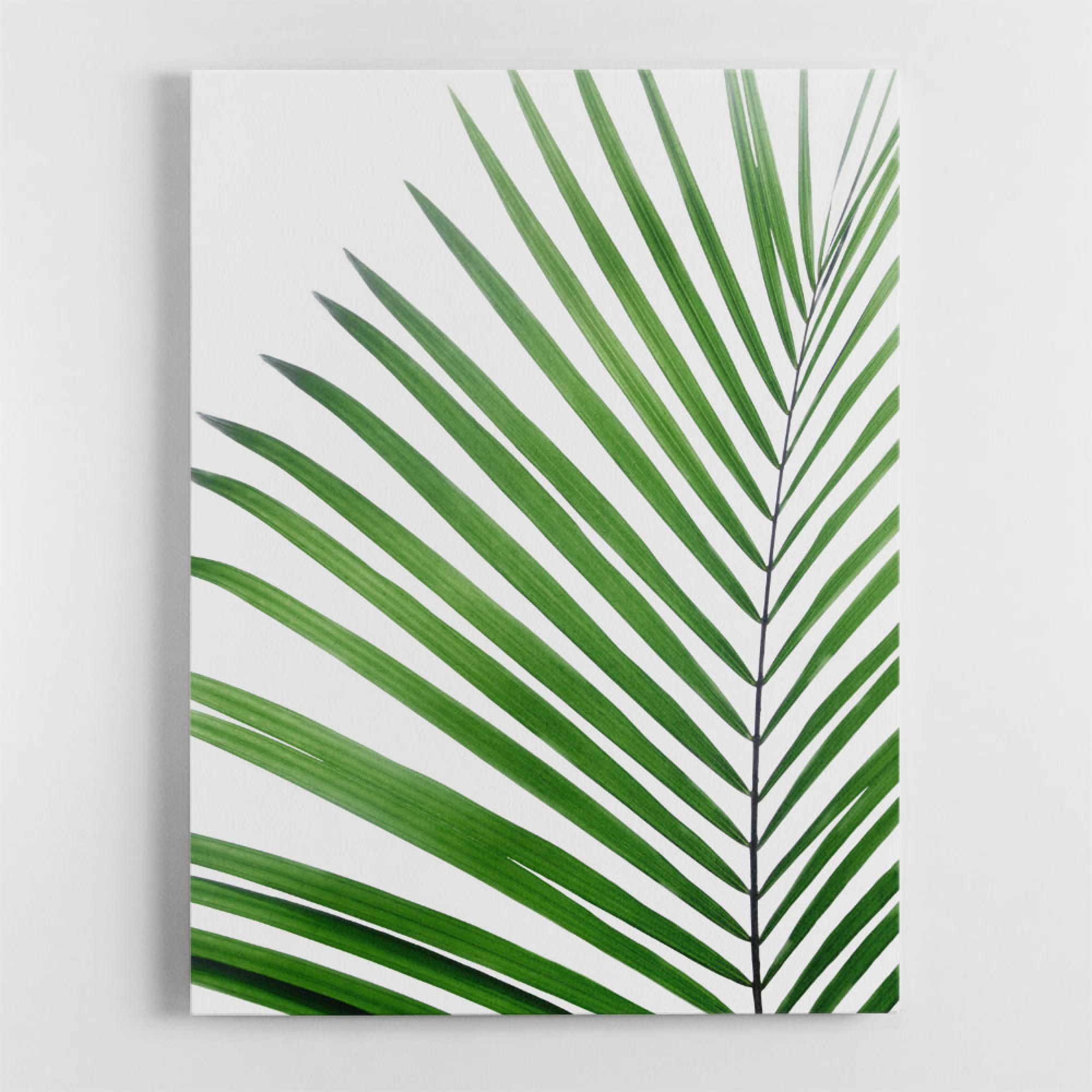 Green Palm Leaf Wall Art