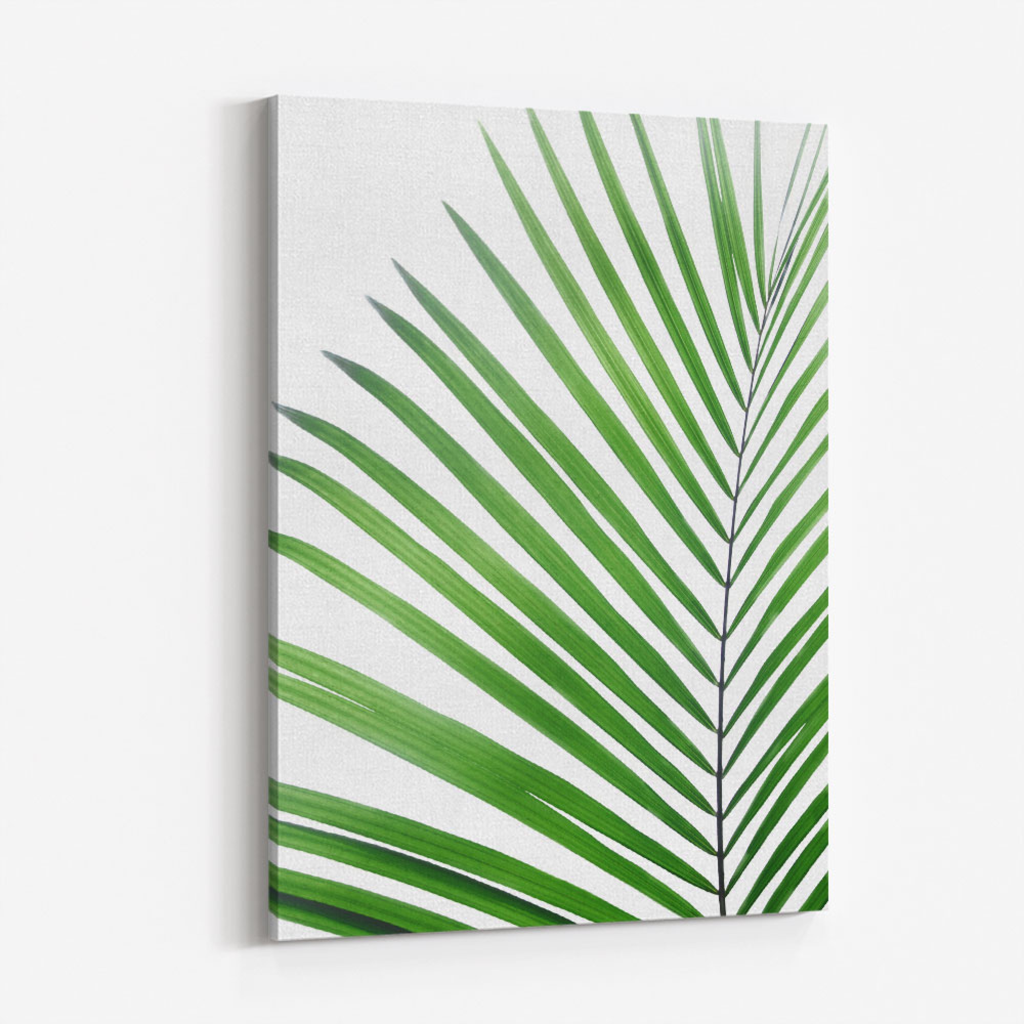 Green Palm Leaf Wall Art