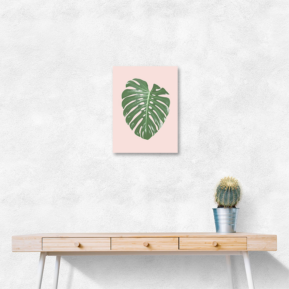 Monstera Leaf Blush