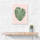 Monstera Leaf Blush