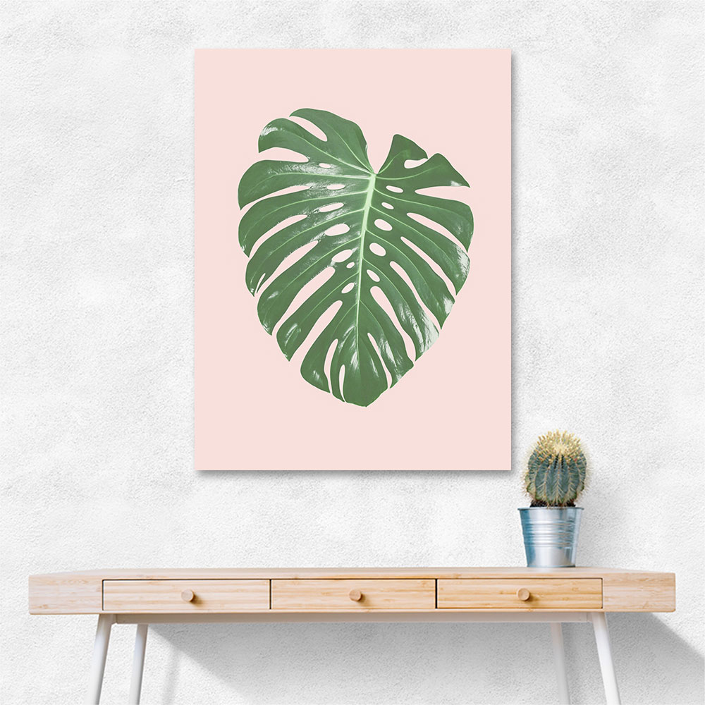 Monstera Leaf Blush