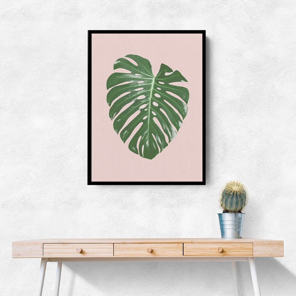 Monstera Leaf Blush