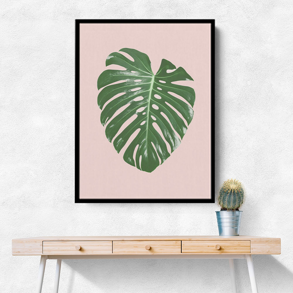 Monstera Leaf Blush