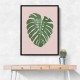 Monstera Leaf Blush