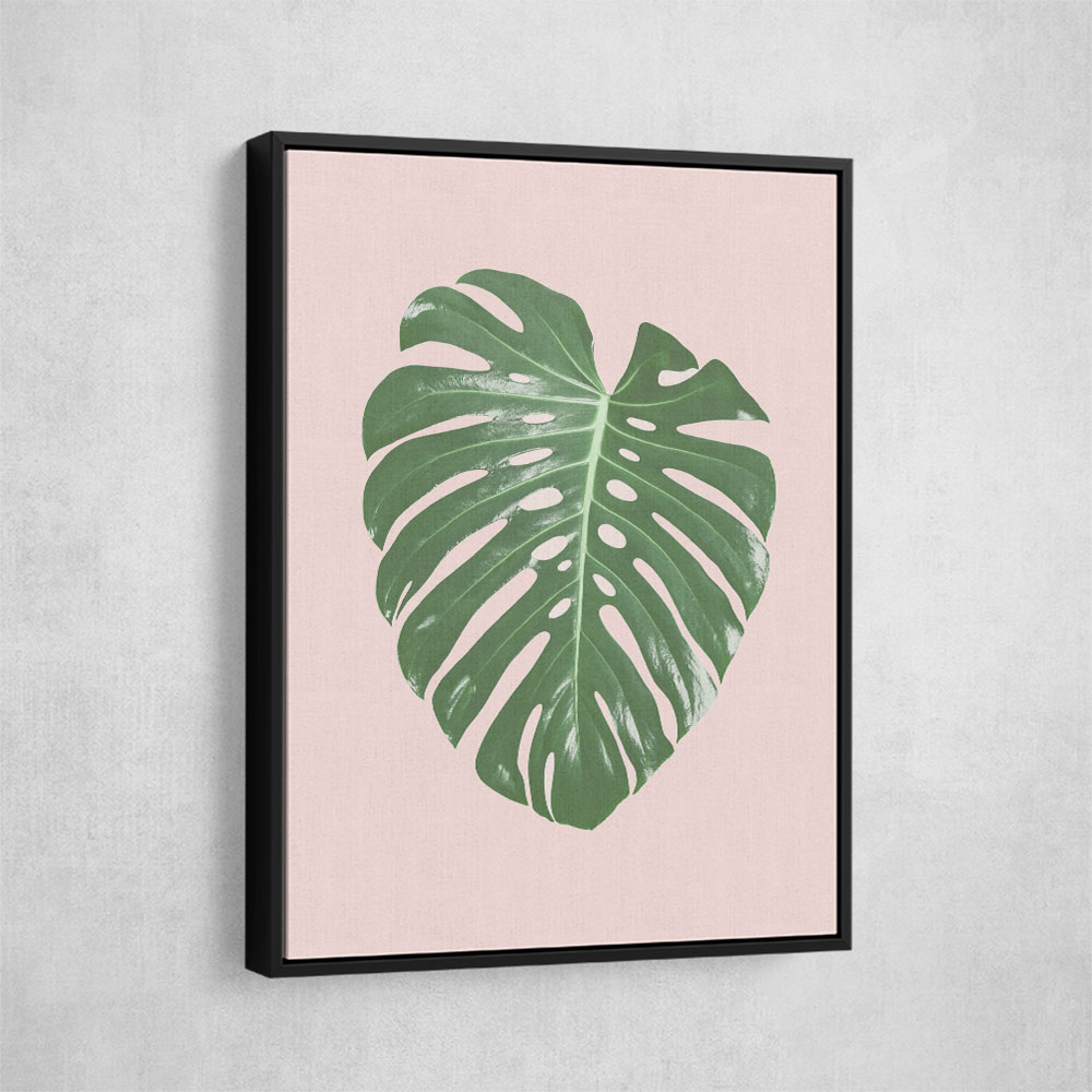 Monstera Leaf Blush