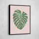 Monstera Leaf Blush