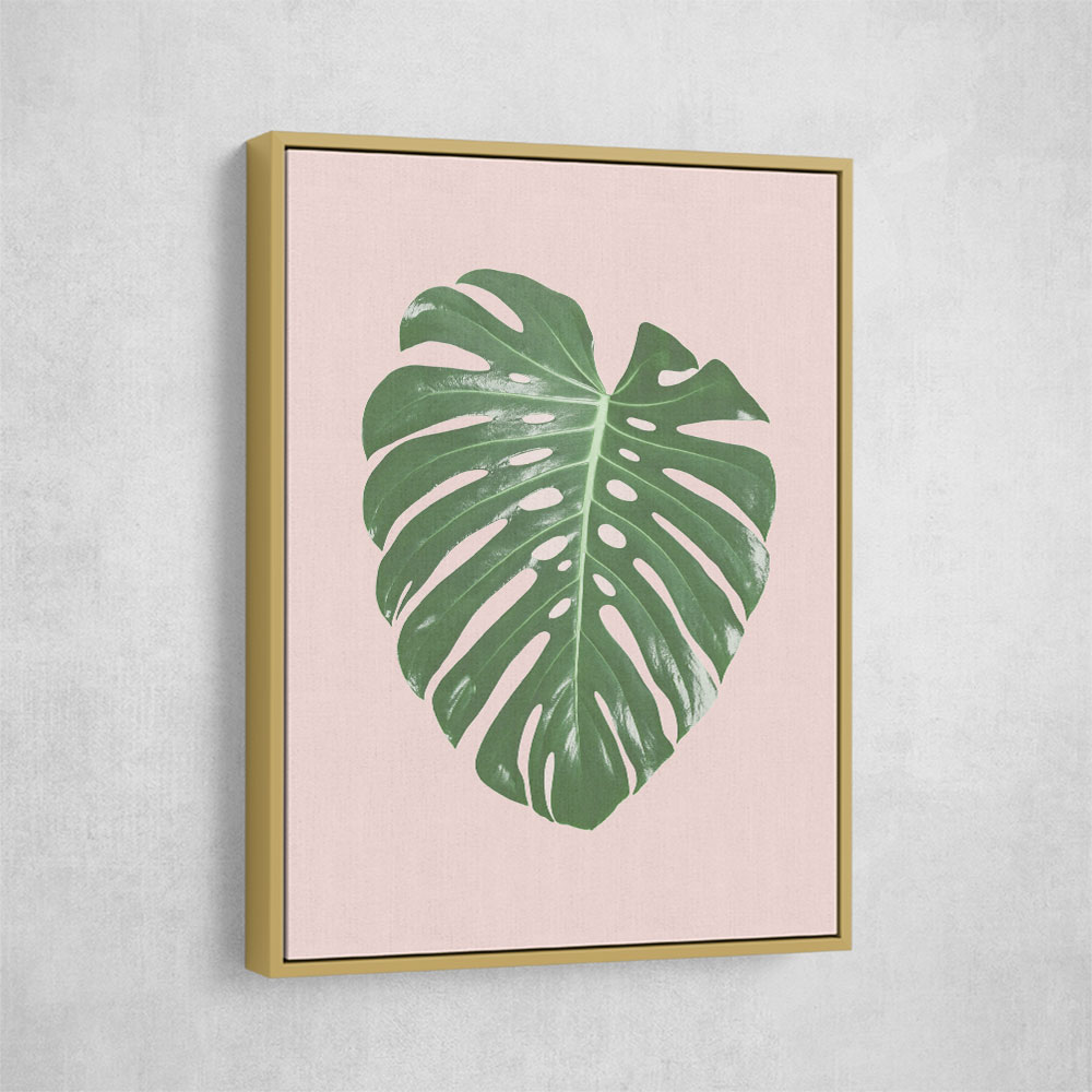 Monstera Leaf Blush