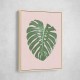 Monstera Leaf Blush