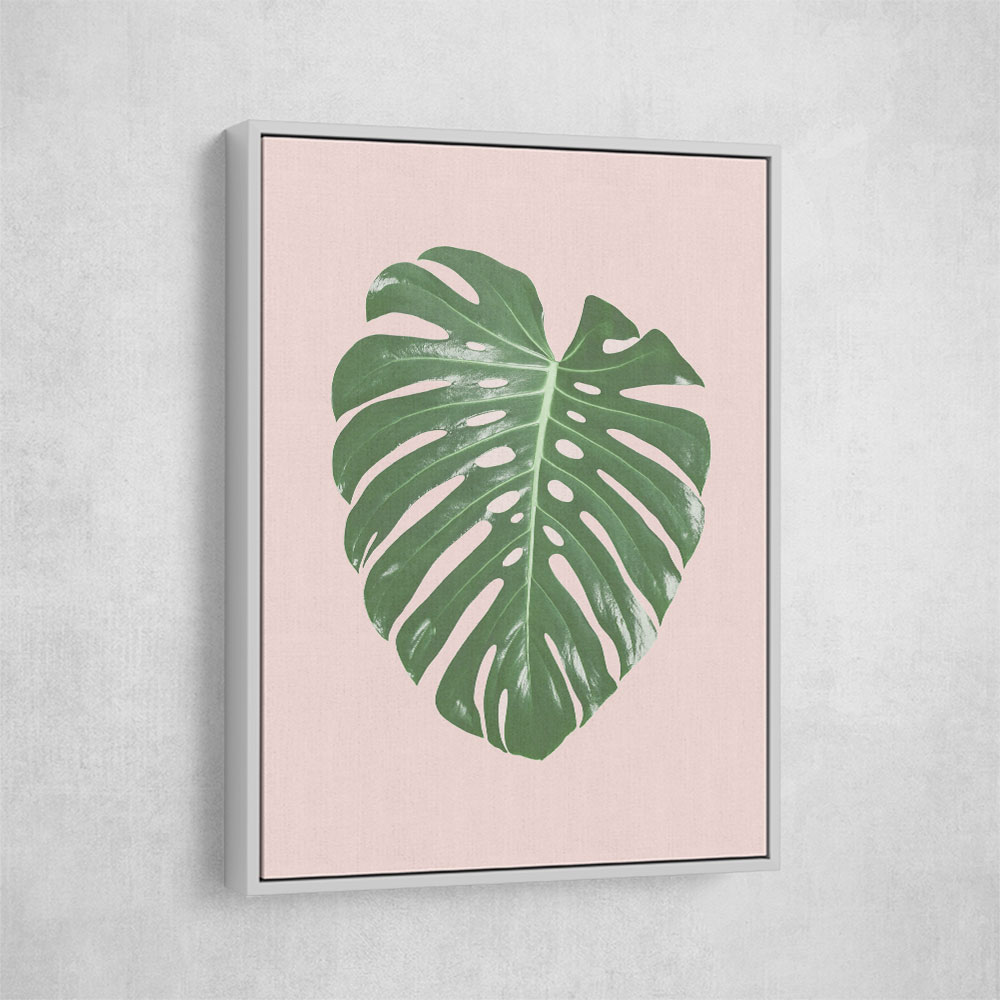 Monstera Leaf Blush