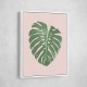 Monstera Leaf Blush