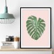 Monstera Leaf Blush