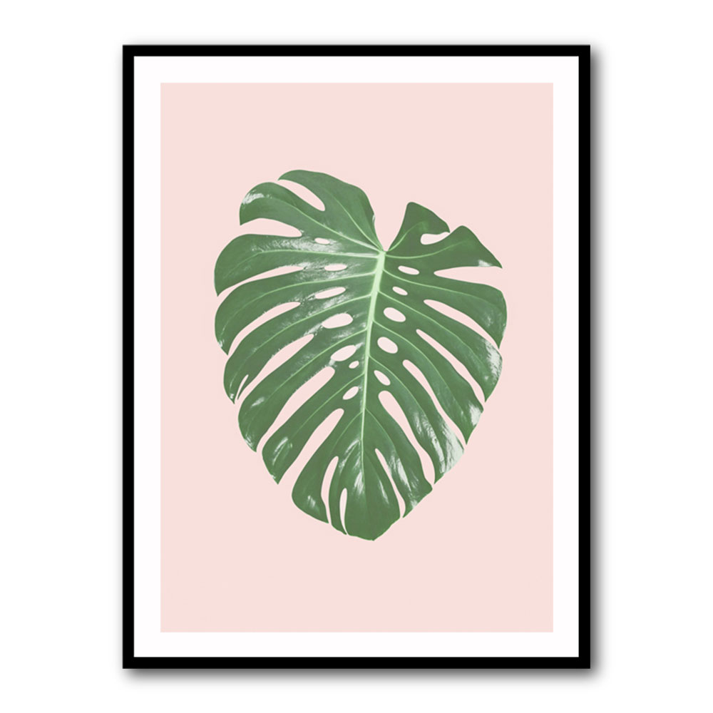 Monstera Leaf Blush