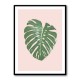 Monstera Leaf Blush