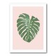 Monstera Leaf Blush