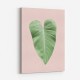 Tropical Leaf Blush