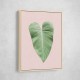 Tropical Leaf Blush