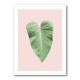 Tropical Leaf Blush