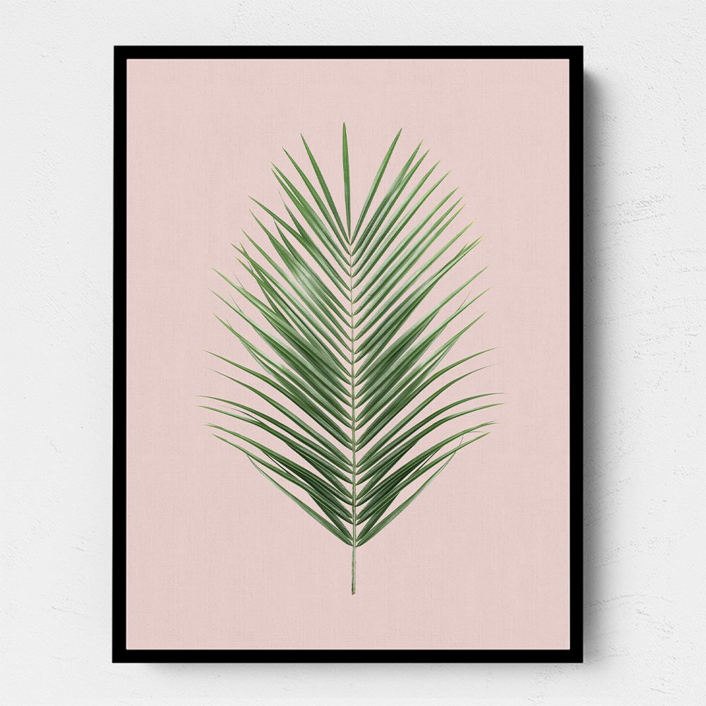 Palm Leaf Blush