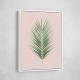 Palm Leaf Blush