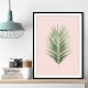 Palm Leaf Blush