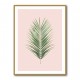 Palm Leaf Blush