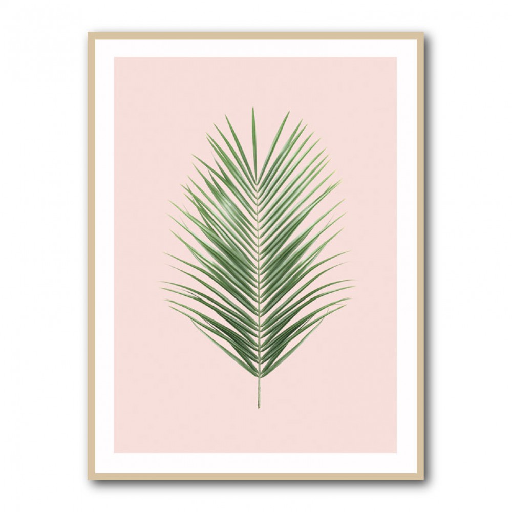 Palm Leaf Blush