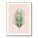 Palm Leaf Blush