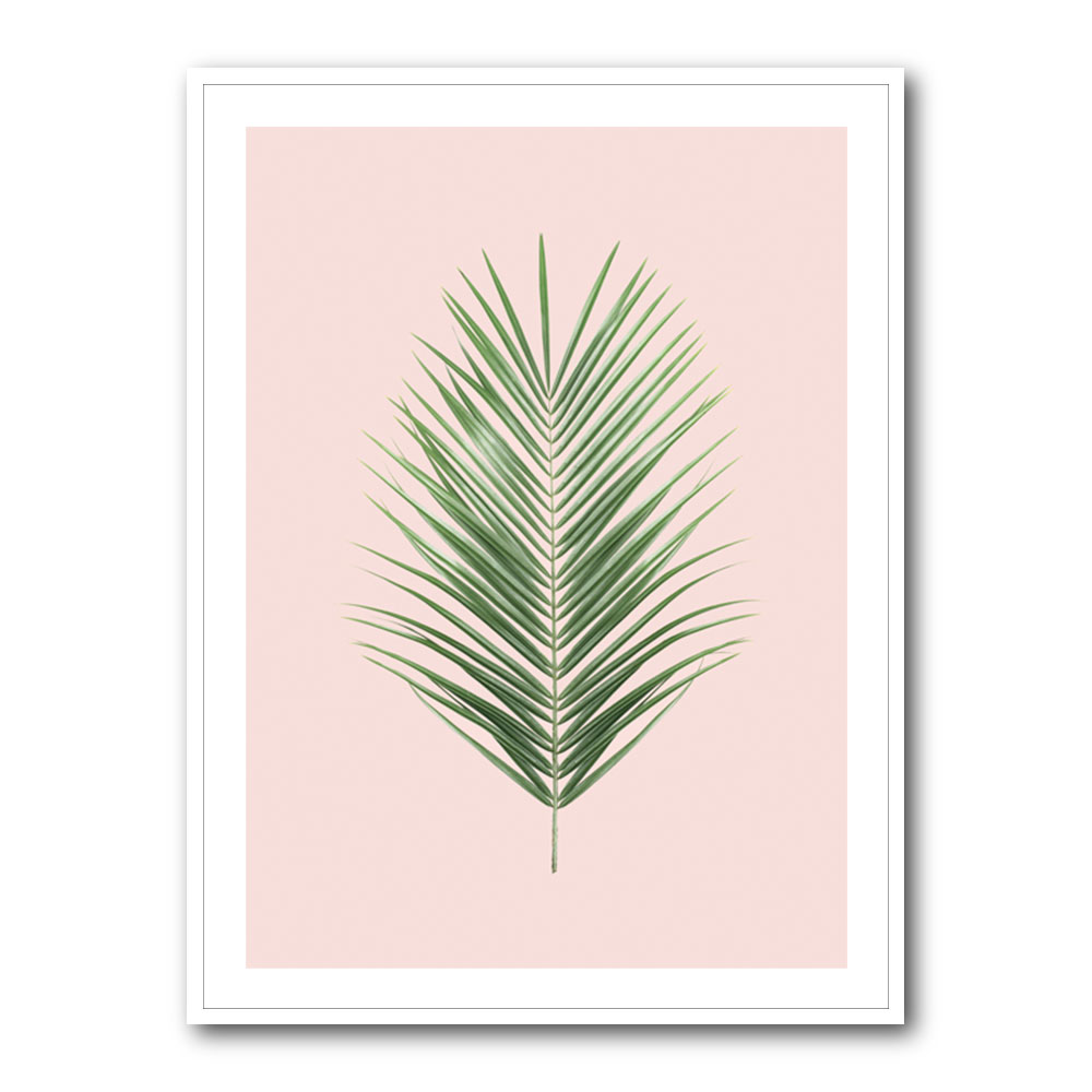 Palm Leaf Blush