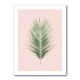 Palm Leaf Blush