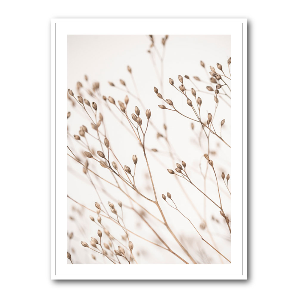 Wild Grass