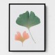 Pastel Ginkgo