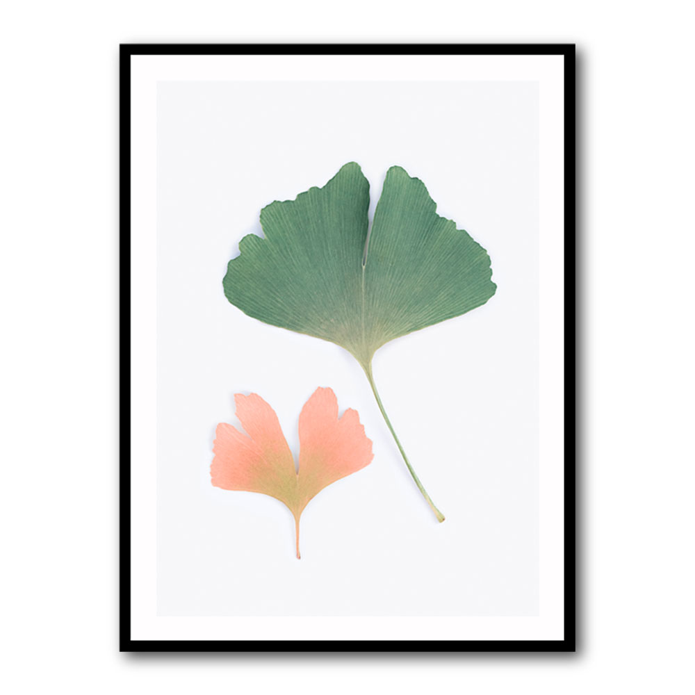 Pastel Ginkgo