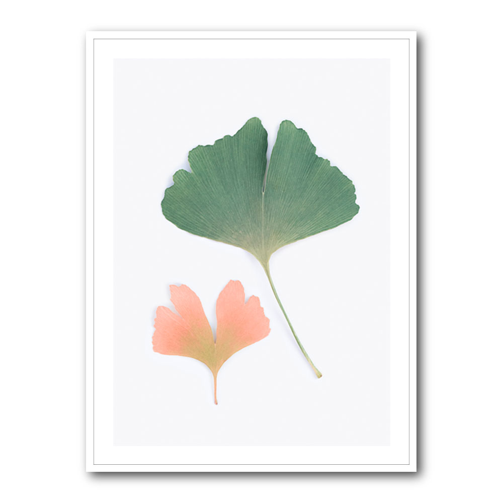 Pastel Ginkgo