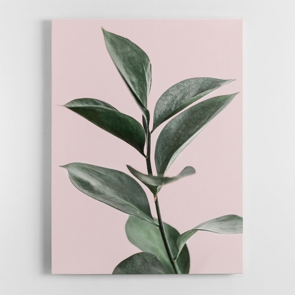 Foliage on Pink