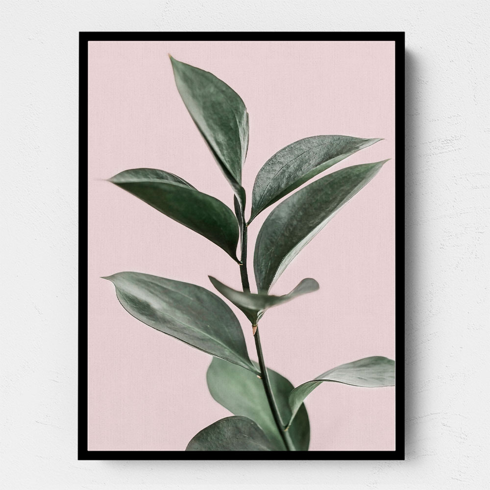 Foliage on Pink